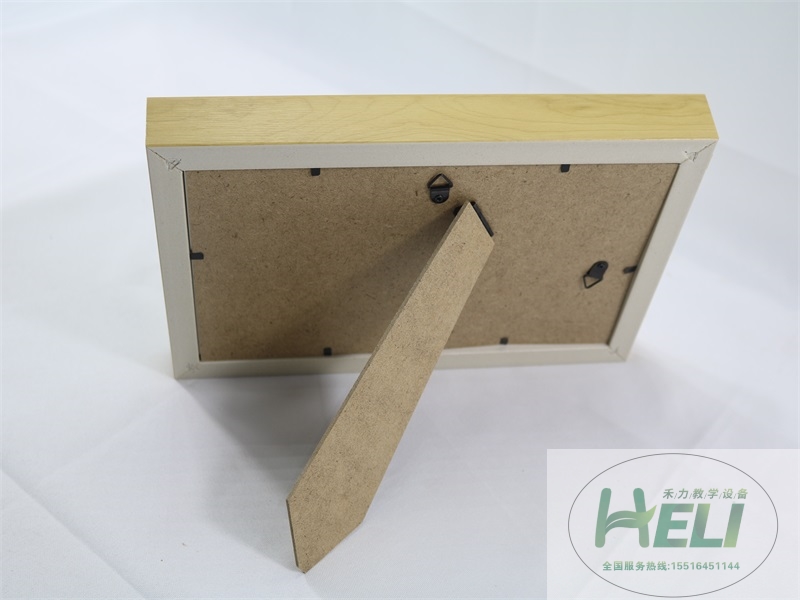 蝴蝶分類(lèi)標(biāo)本巴黎翠鳳蝶